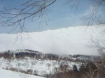 mita2.jpg
